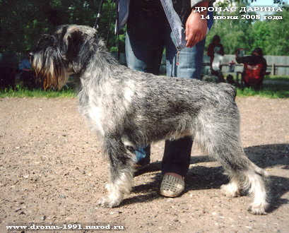 Дронас Дарина, 14.06.2008, фото: Анна Соколовская